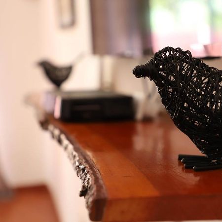 Butterfly Apartments ليفينغستون المظهر الخارجي الصورة