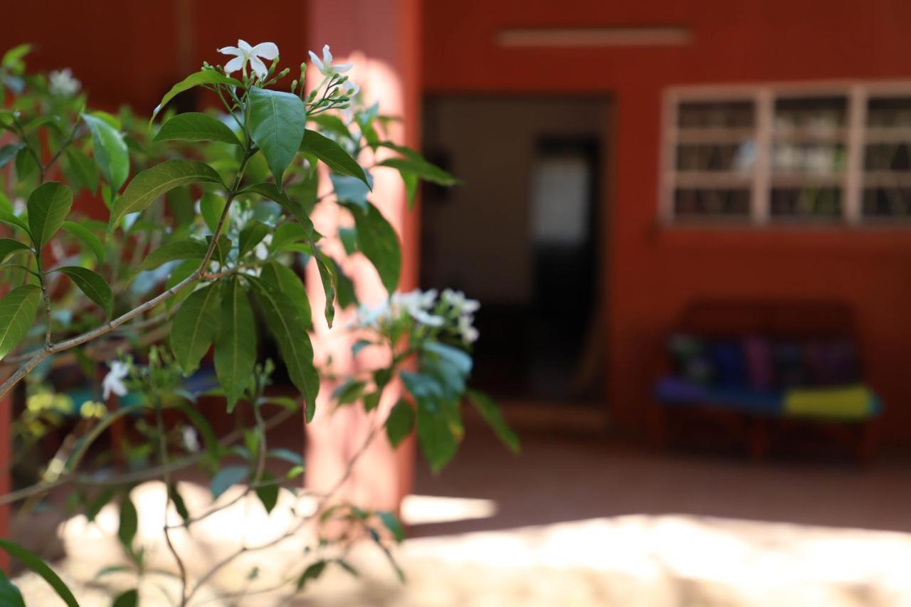 Butterfly Apartments ليفينغستون المظهر الخارجي الصورة